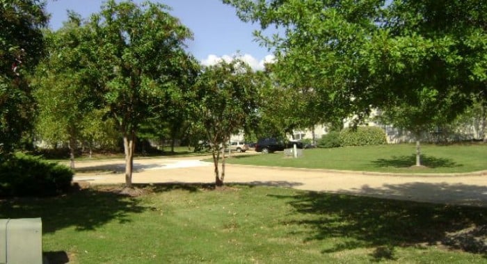 Lush green landscaping